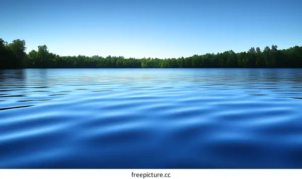 Serene Lake Scenery Under a Clear Sky