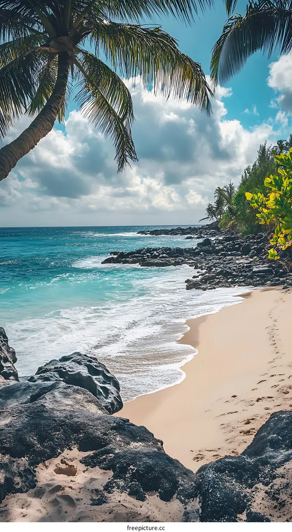 Tropical Beach Scene with Palm Tree and Blue Ocean
