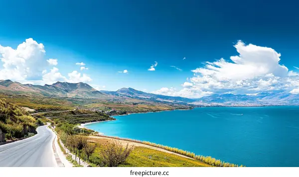 Scenic Mountain Roadside Lake View