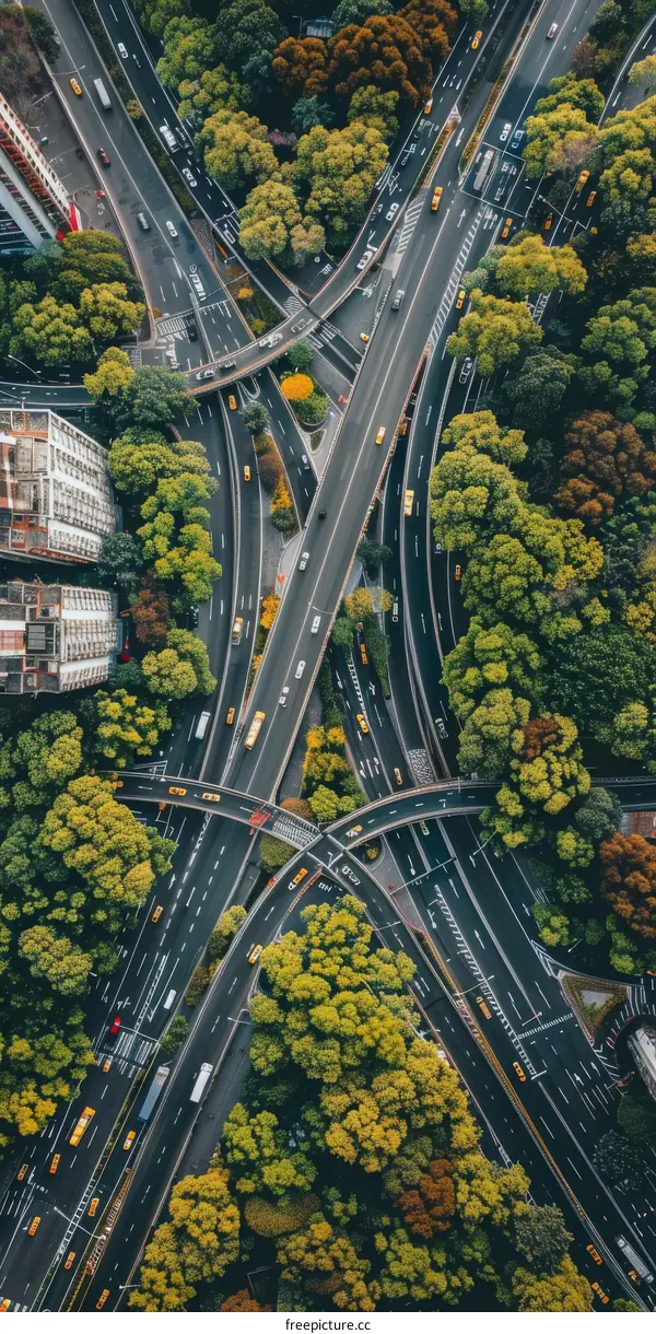 Aerial View of a Complex Urban Road Interchange with Green Trees and Colorful Cars