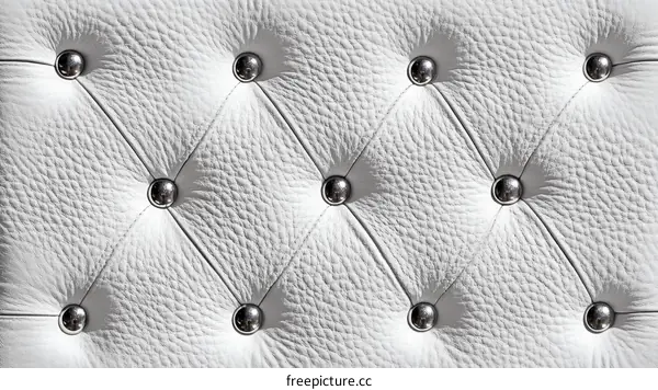 White Leather Upholstery Detail with Button Tufting