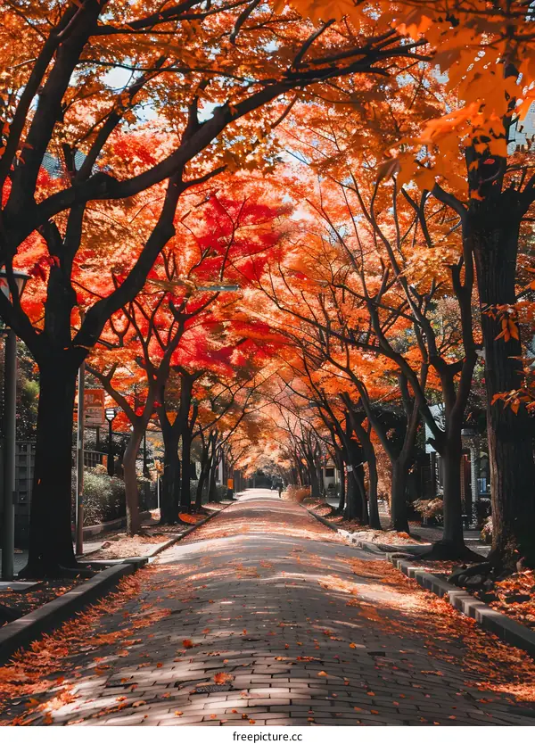 Autumn Leaves Line a Cobblestone Path
