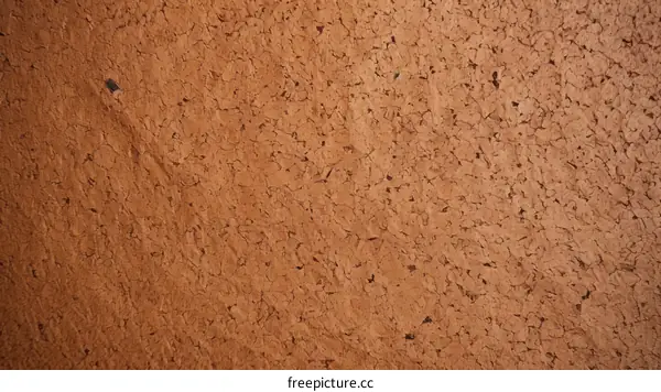 Close-up image of brown cork board texture background