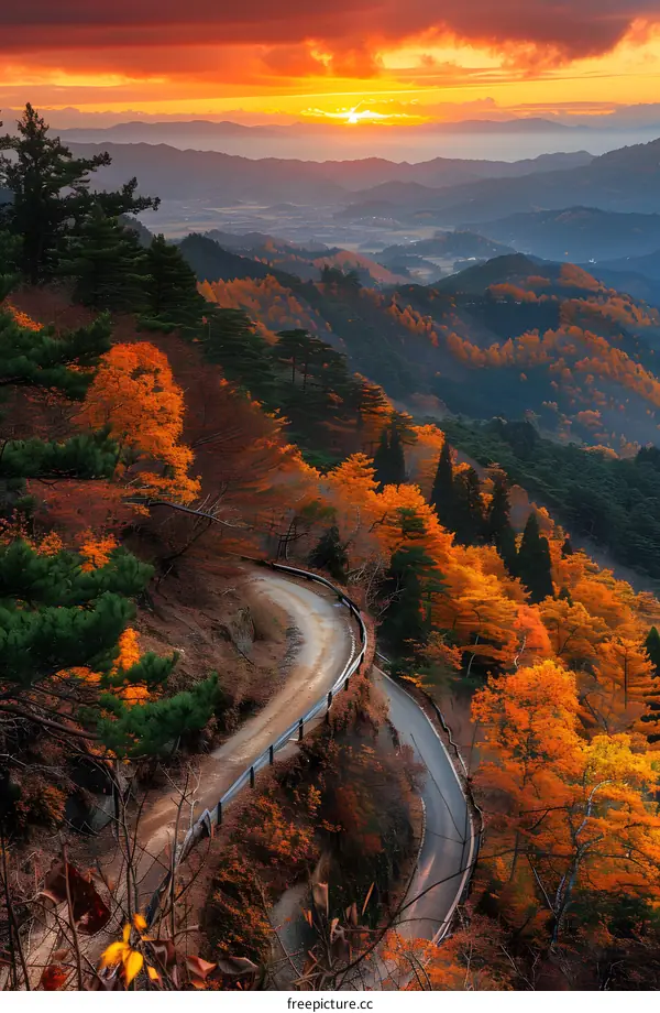 A winding road through a forest of colorful autumn trees