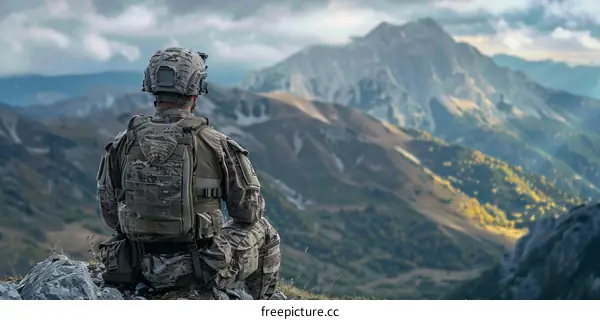 Soldier looking out at mountain landscape
