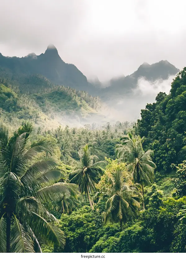 Tropical Rainforest Landscape with Lush Greenery and Majestic Mountains
