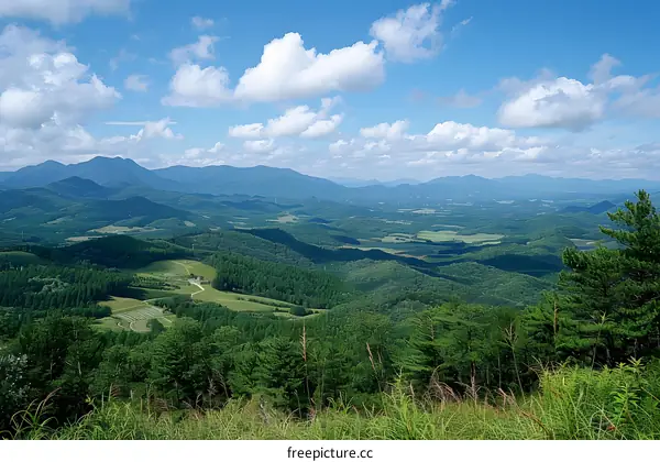 Mountainous Landscape with Lush Green Forests and Blue Sky