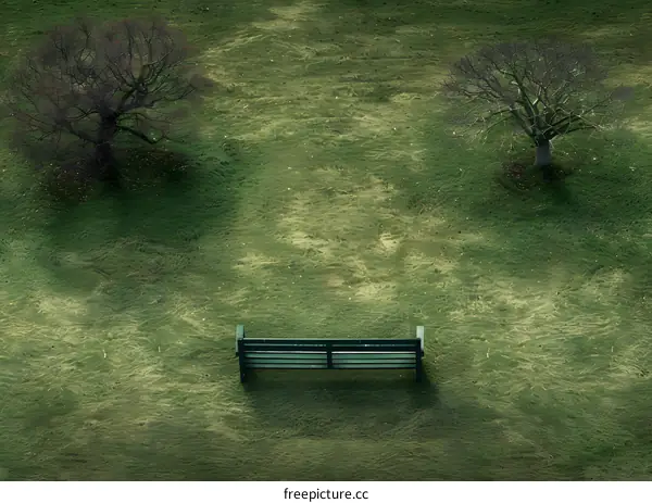Lonely Bench in a Grass Field