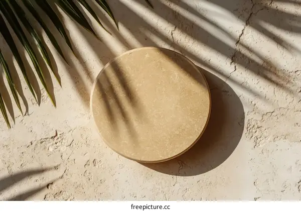 Beige Circle Display Product Photography