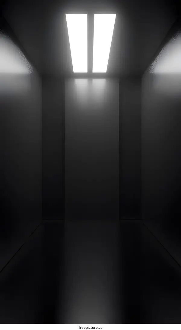Black and White Minimalist Elevator Interior with Fluorescent Lights
