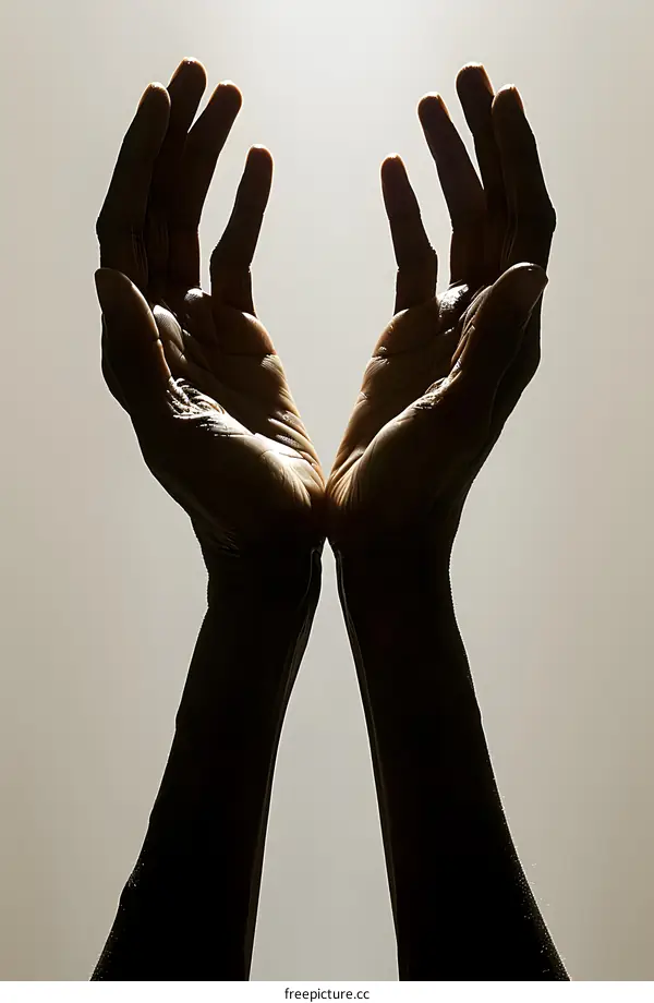Two dark hands are raised with palms up in front of a pale background.