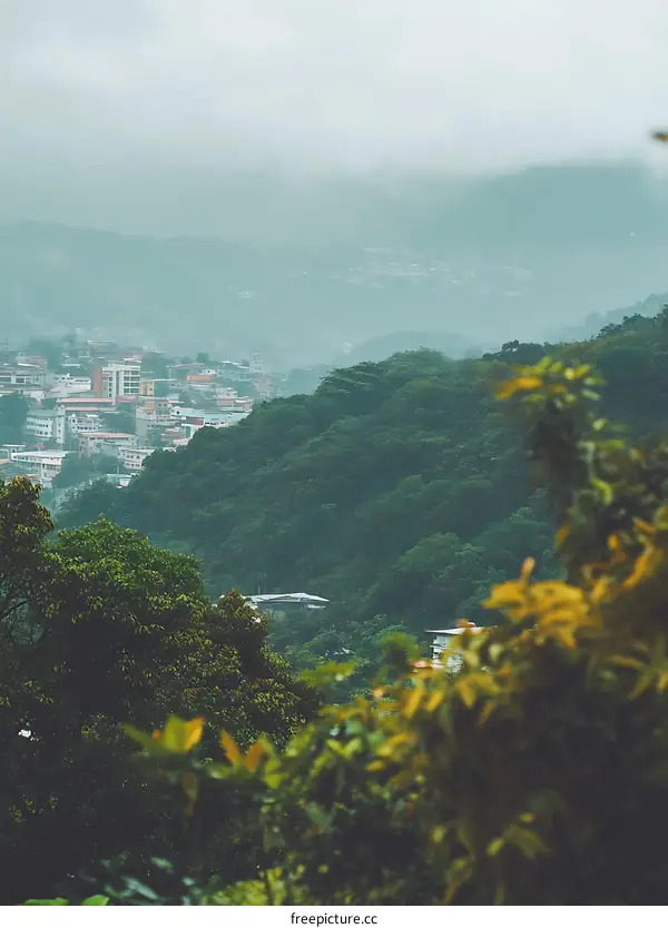Aerial View of a City in the Mountains