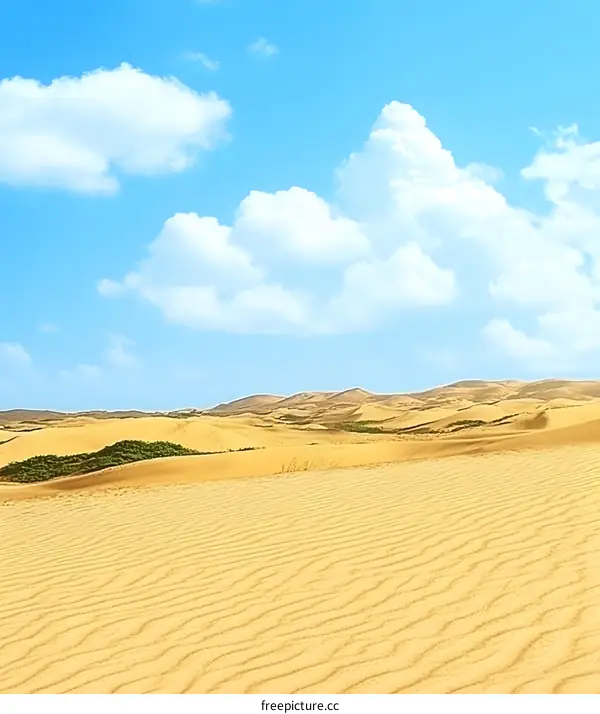 Desert Landscape with Blue Sky and White Clouds