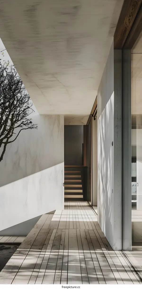 Modern Minimalist Wooden Deck With Concrete Walls And Sunlight