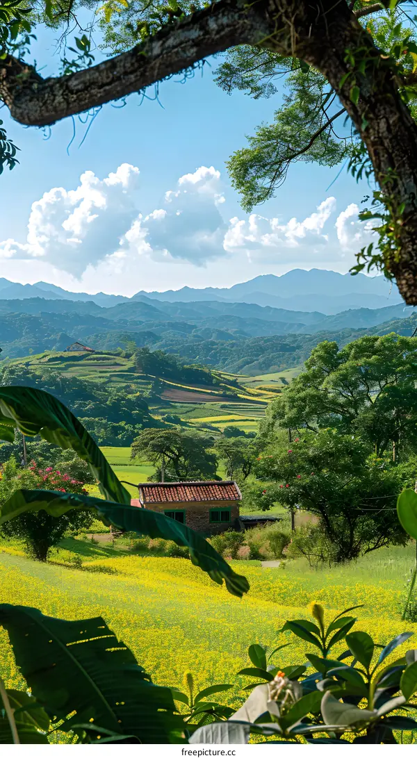 Yellow Flower Field and Mountain View