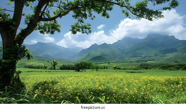 Green hills and yellow flowers