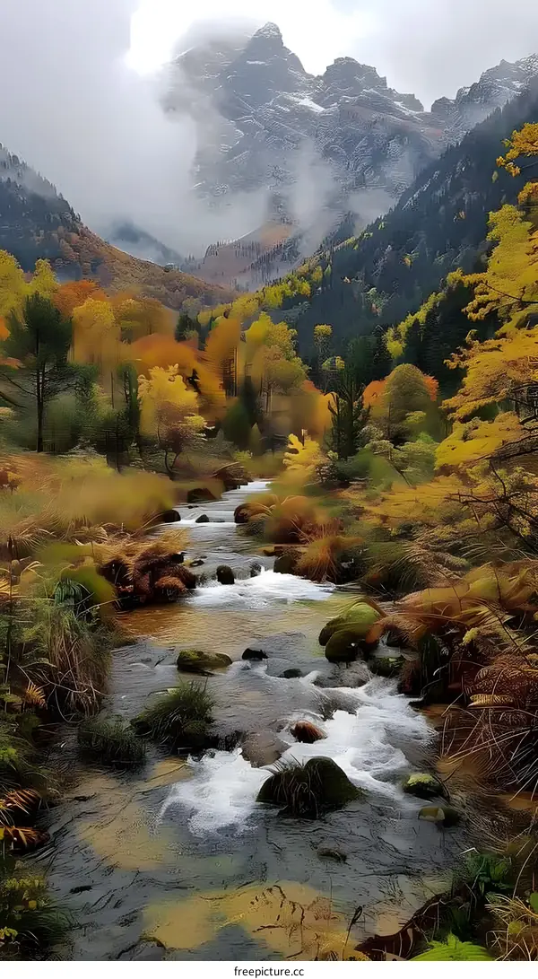 The colorful stream in the valley