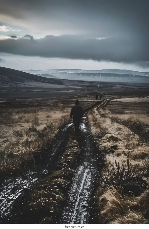Lonely Figures Walking on a Dirt Road in Iceland