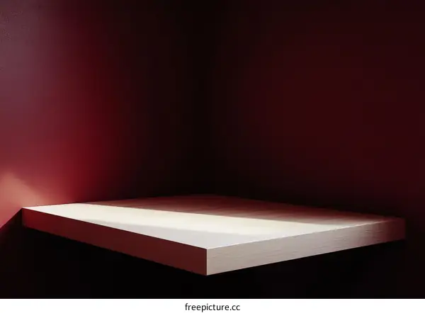 Modern Minimalist Corner Shelf Display