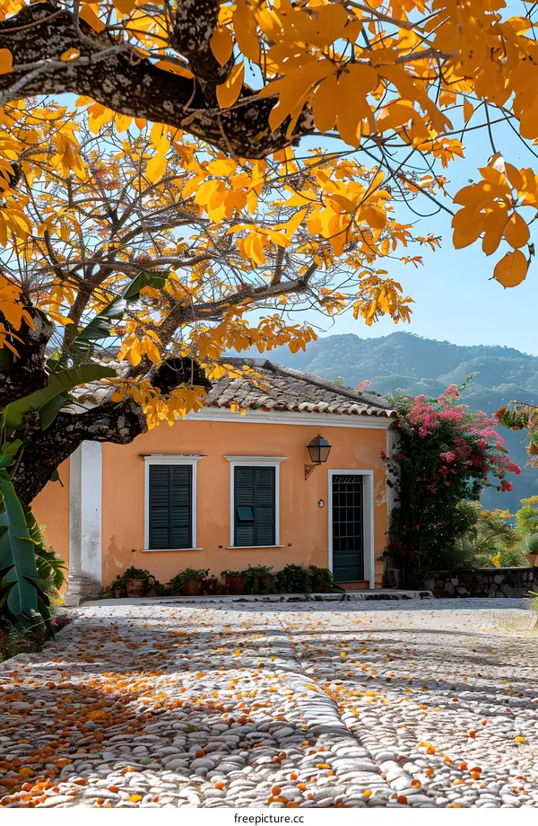A beautiful house with a yellow tree in front of it