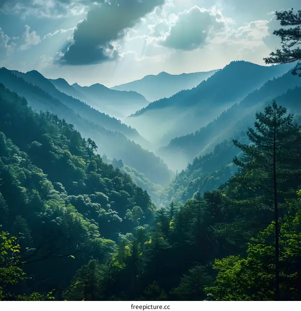 Mountain Landscape with Fog and Sunlight