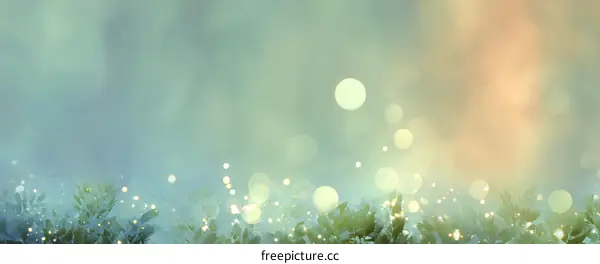 Nature Background with Sparkling Lights