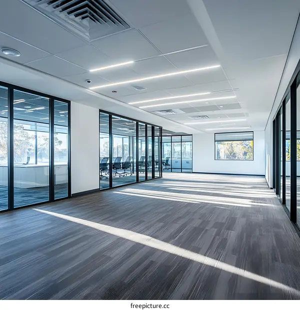 Modern Office Interior Design with Glass Walls and Sunlight