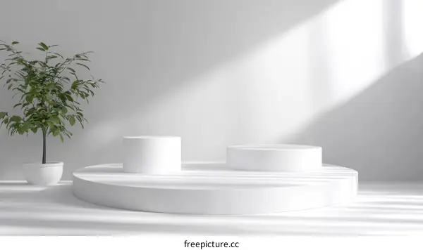 Minimalist White Display Podium with Plant