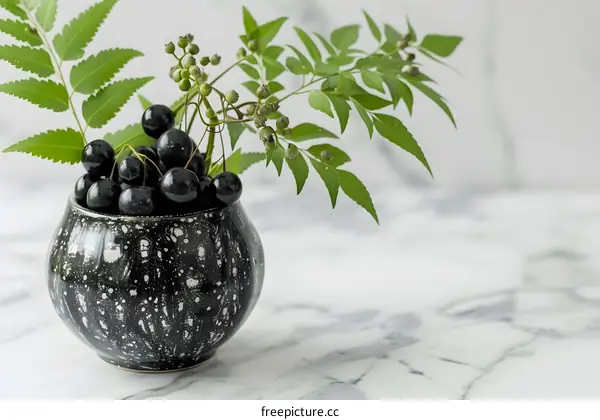 Black Berries In A Speckled Black Ceramic Vase