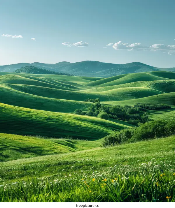 Serene Rolling Hills Under a Blue Sky