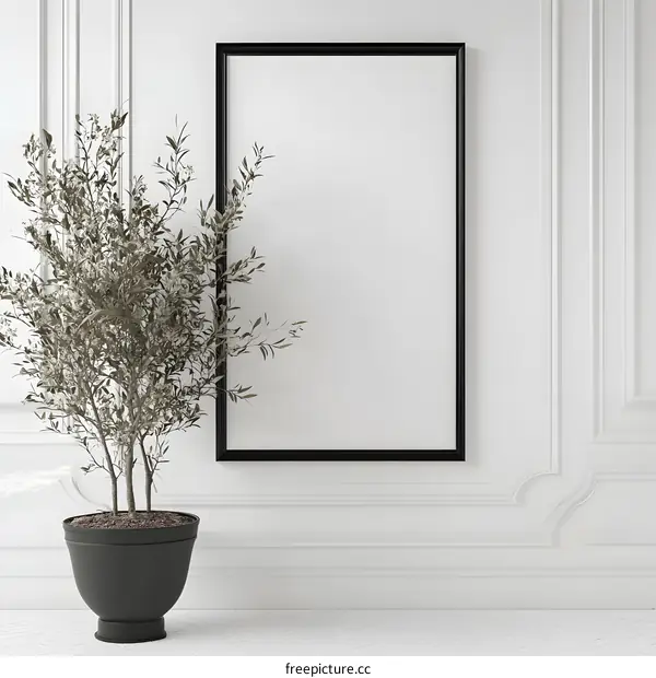 Minimalist White Wall with Black Frame and Plant