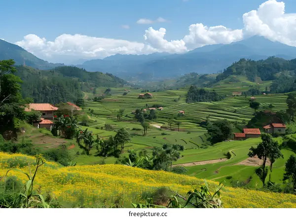 Green Rice Terraces in the Mountains