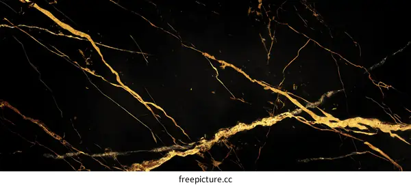 Luxury Black Marble Texture with Gold Veins