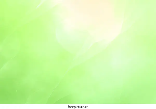 Abstract Soft Green Gradient Background