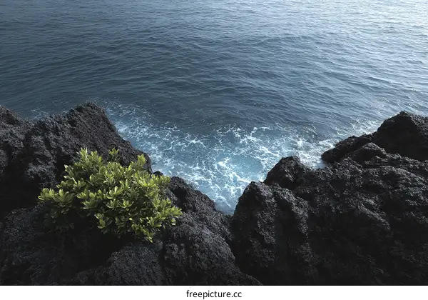 Ocean Waves Crashing Against Volcanic Rocks