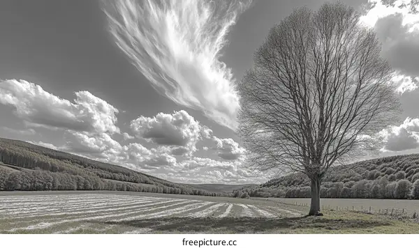 Monochromatic Landscape with Majestic Tree and Clouds