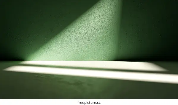 Empty Green Room with Sunlight and Shadow