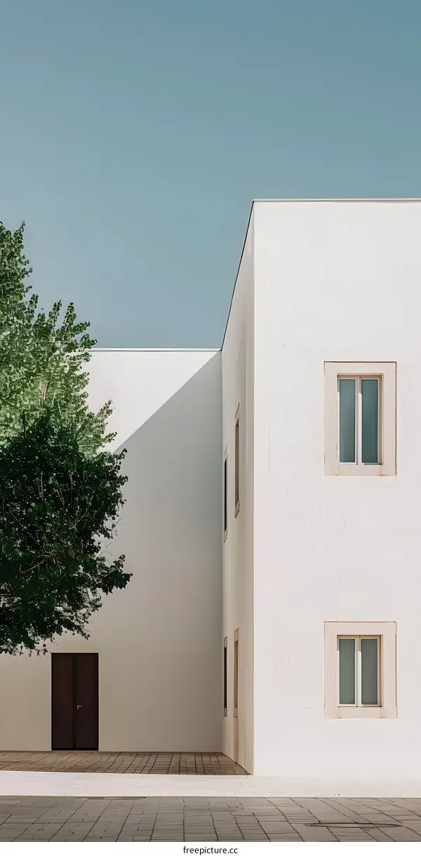 Minimalist White Building with a Tree and a Door