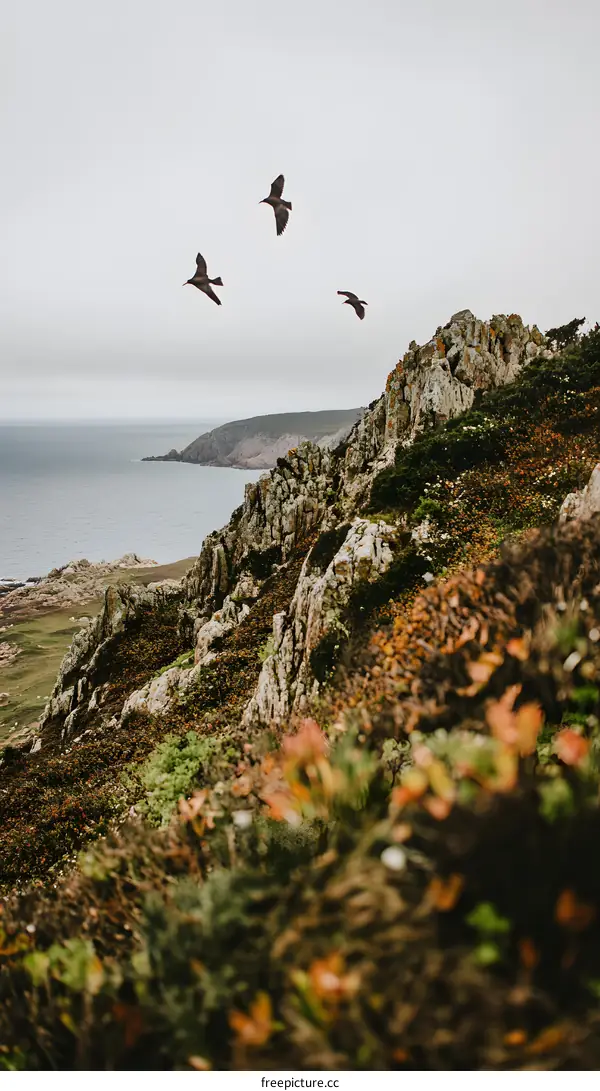 Seabirds Flying Over Cliffs and Ocean