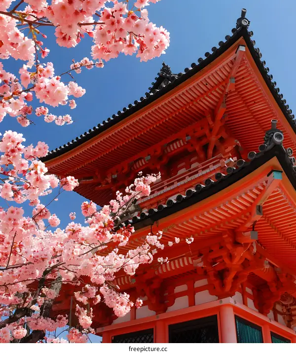 Red Japanese temple with pink cherry blossom