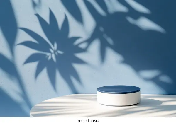 Stylish Blue and White Minimalist Product Display