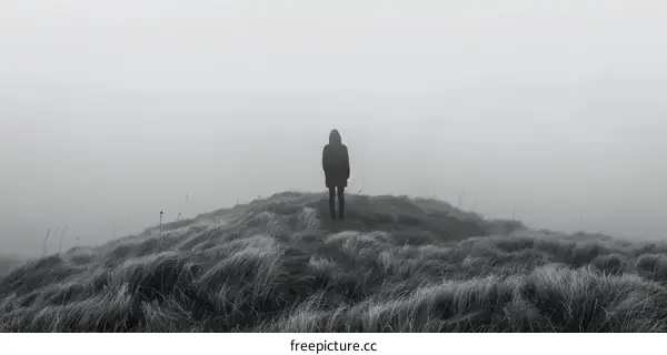 Person standing alone in a foggy field