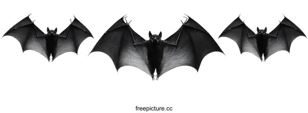 [Transparent Background PNG]Three Bats in Flight Illustration