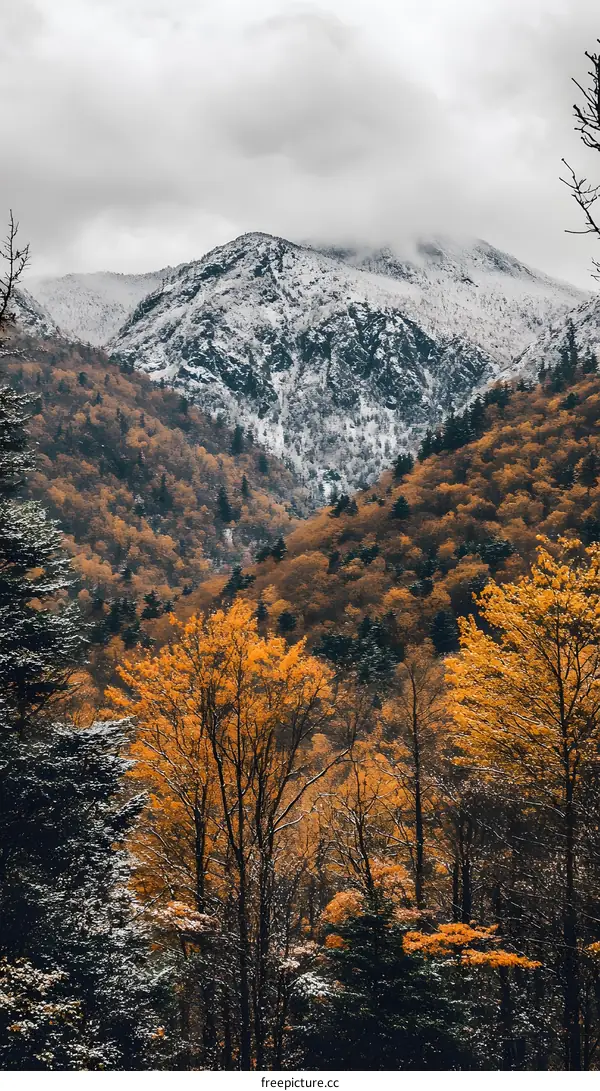 Autumn Foliage And Snow Covered Mountains