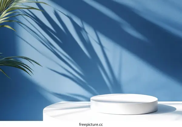 Elegant Blue Wall with White Display Podium and Palm Leaf Shadows