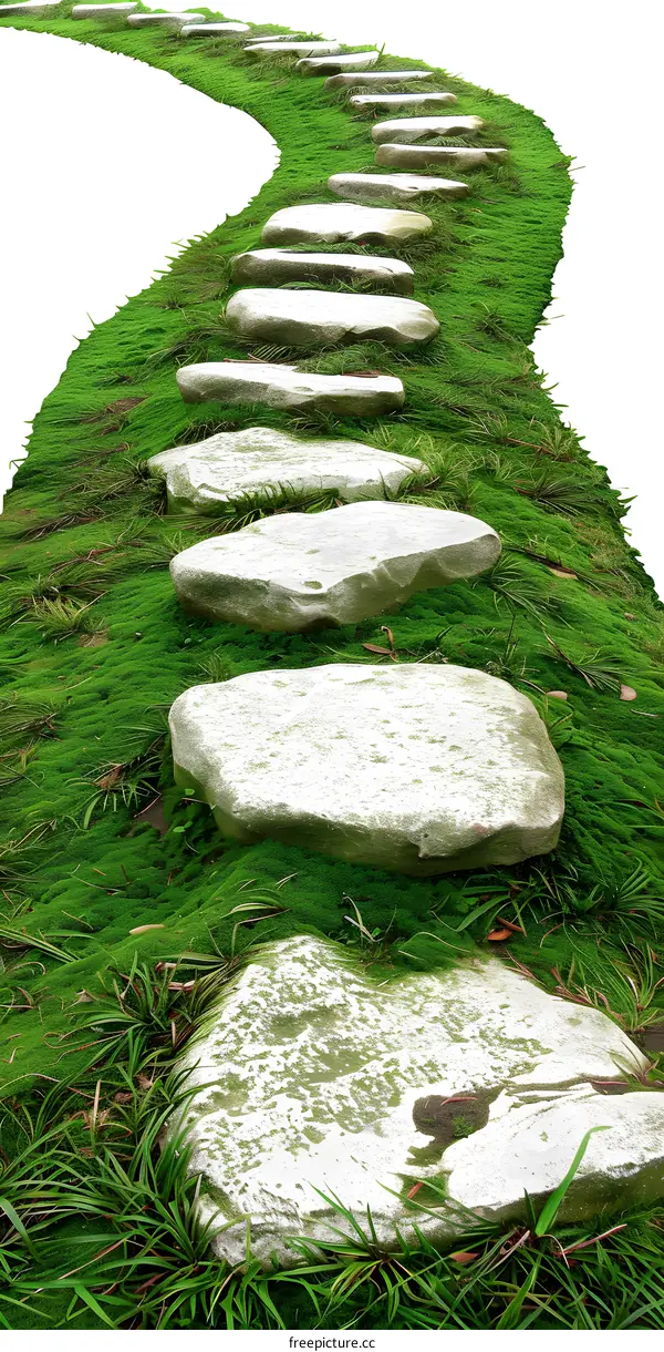 Stone Path Through Green Grass