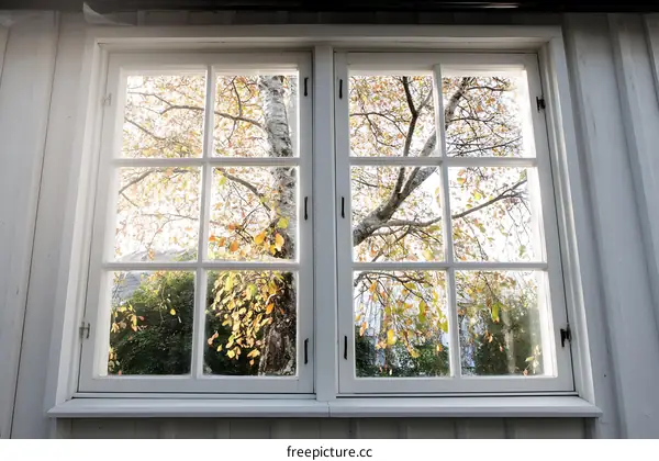Autumn Leaves Through a White Window