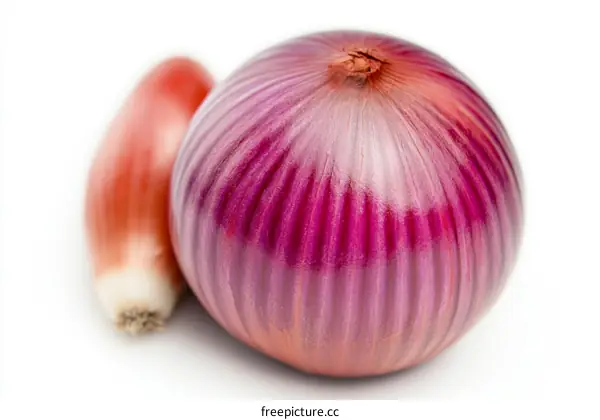 Close Up of Two Red Onions on White Background