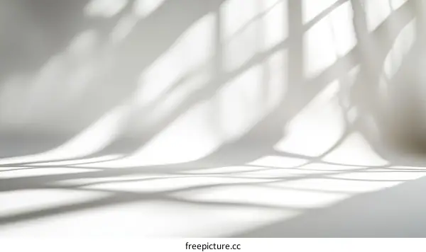 Abstract Light and Shadow Studio Background