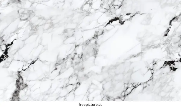 Black and white marble texture background